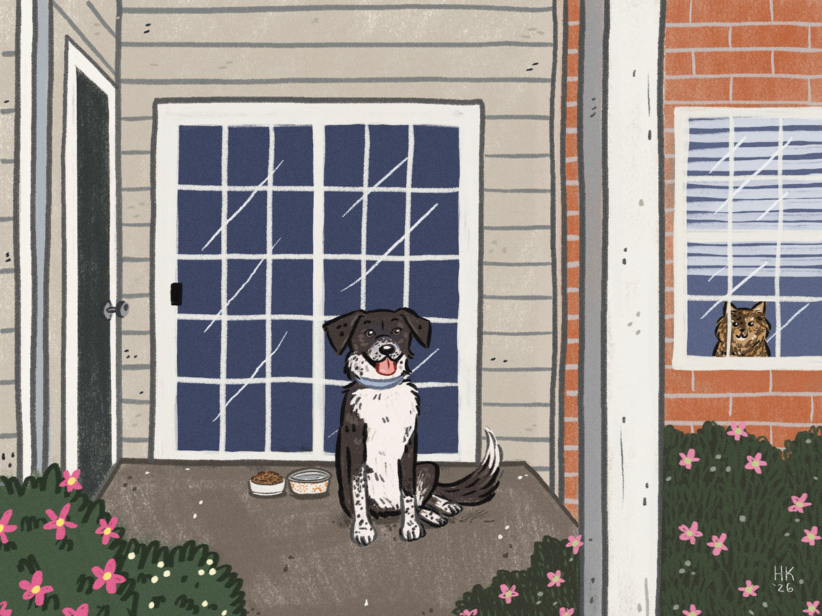 Digital Front Window Pet Portrait