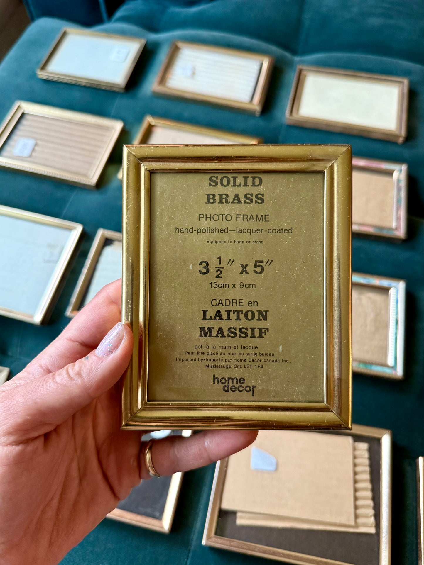 Pet Portrait with Mystery Brass Frame