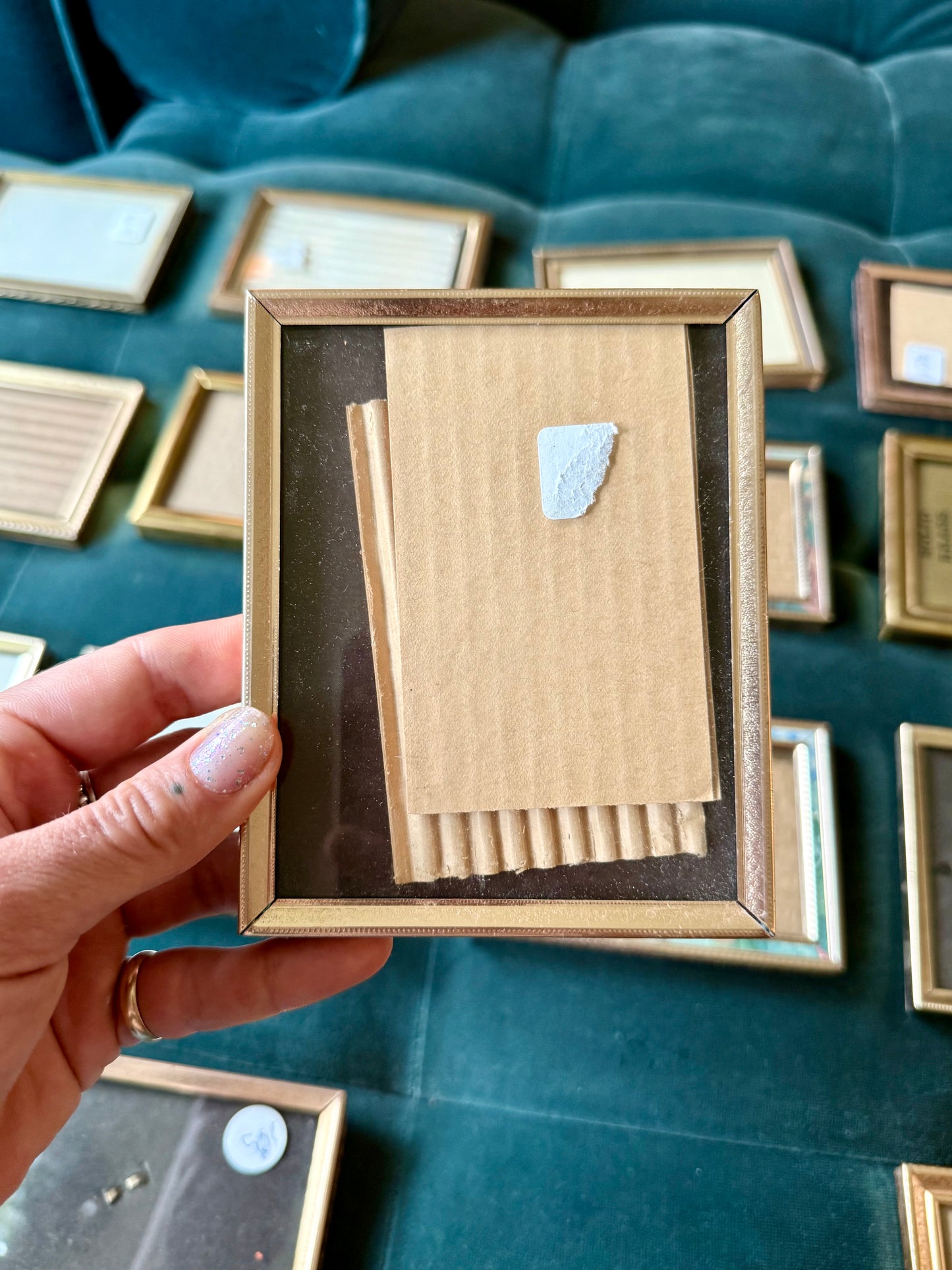 Pet Portrait with Mystery Brass Frame